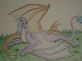 dragea draconniss.jpg